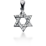 White gold star shaped pendant with 24 diamonds (0.36ct)